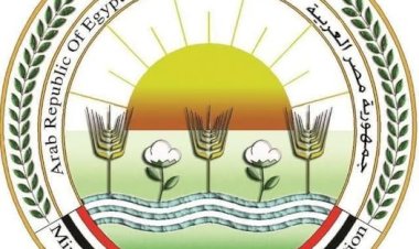 الزراعة تحذر من صفحات وهمية تروج لبيع منتجاتها عبر مواقع الإنترنت وصفحات التواصل الاجتماعي