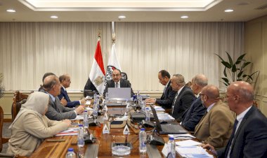 وزير قطاع الأعمال يتابع الموقف التنفيذي لمشروع إنتاج حبيبات وأقراص الكلور بشركة مصر لصناعة الكيماويات