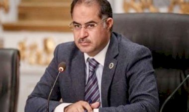 برلمانى: التنظيم الرقمي للأطفال خطوة جريئة نحو عالم آمن لأبناء مصر