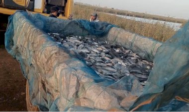 انطلاق موسم الصيد بمحطة تحضين الخاشعة السمكية في إطار خطة الجهاز لزيادة الإنتاج السمكي