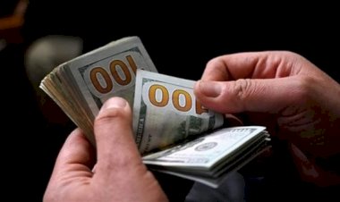 أسعار الدولار في مصر اليوم الجمعة