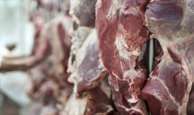 أسعار اللحوم في مصر اليوم السبت