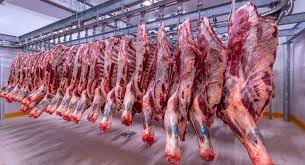 أسعار اللحوم في مصر اليوم الخميس