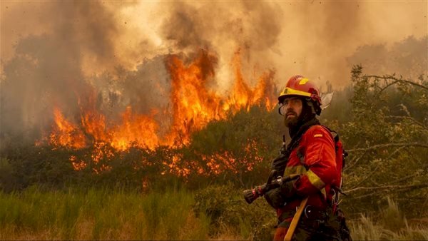 الحرائق تقتـ.ل 12 شخصا في إسبانيا خلال عطلة عيد الميلاد