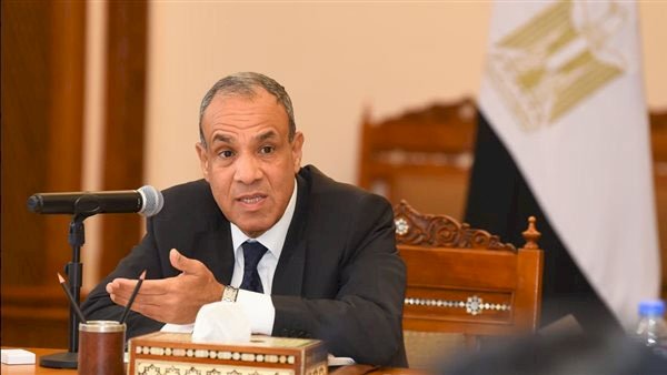 وزير الخارجية يؤكد على الدور المحورى للقطاع الخاص في تعزيز الشراكات الاقتصادية مع أفريقيا