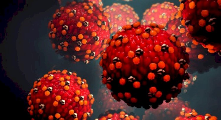 أصاب 90 شخصا.. فيروس خطير يتفشى على متن سفينة سياحية أمريكية