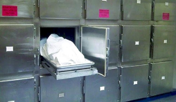 مصرع سيدة أسفل عجلات أتوبيس بشبرا الخيمة