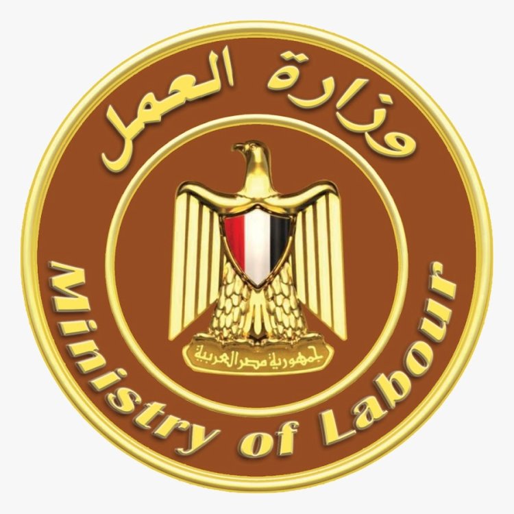 تعرفي علي أبرز أنشطة وزارة العمل خلال أسبوع