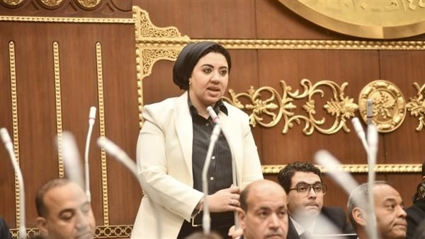 أميرة صابر: التغيرات المناخية كارثة تهدد مصر والعالم ونواجه فجوة تشريعية وغياب التنسيق الحكومي