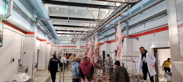 وزيرة التنمية تعلن التشغيل التجريبي لمجزر مدينة موط بالوادي الجديد بتكلفة 21 مليون جنيه