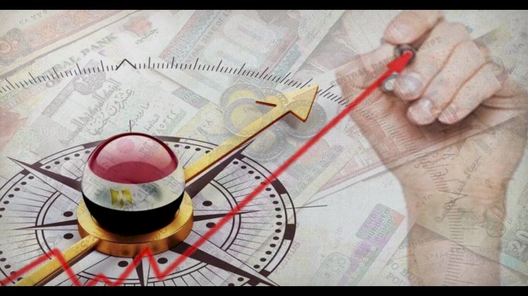 كيفية مواجهة التحديات الاقتصادية في استهلاك الأسر.. فيديو