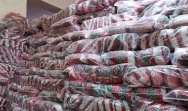 نائب: هناك انخفاض في أسعار السكر ووصلت إلى معدلات جيدة