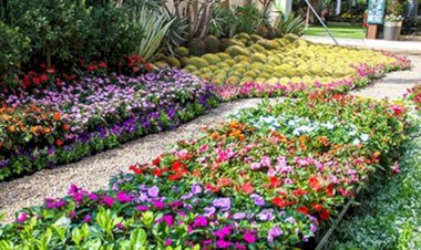 "الزراعة" تعلن فتح باب الحجز للمشاركة بمعرض زهور الربيع 2026