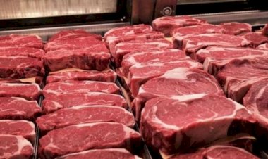 أسعار اللحوم في مصر اليوم الثلاثاء