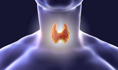 اكتشفها بسرعة.. أعراض أشهر مشكلات الغدة الدرقية