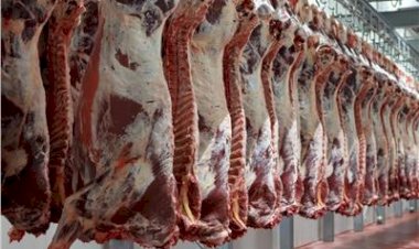 أسعار اللحوم في مصر اليوم الجمعة