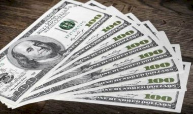 أسعار الدولار في مصر اليوم الجمعة