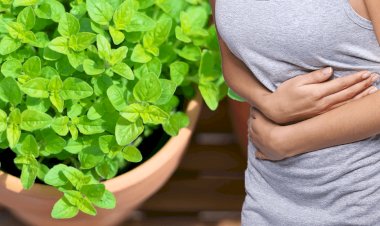 كيفية تخفيف آلام البطن في المنزل