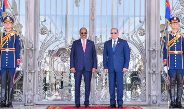 الرئيس السيسي يستقبل رئيس جمهورية الصومال اليوم