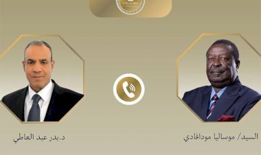 اتصال هاتفي بين وزير الخارجية ونظيره الكيني