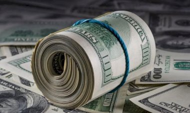 أسعار الدولار في مصر اليوم الثلاثاء