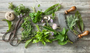 5 أعشاب طبيعية تساعد على خفض الكوليسترول الضار