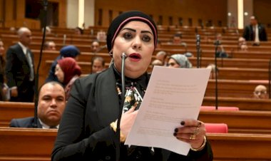 النائبة جيهان شاهين تعلن إعدادلمشروع قانون لتنظيم التطبيب والعلاج عن بُعد