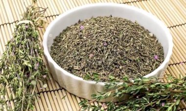 بعيدًا عن البرد والسعال.. فوائد صحية مذهلة لعشبة الزعتر