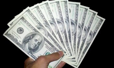 أسعار الدولار في مصر اليوم الجمعة