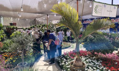 إقبال على حجز "معرض زهور الربيع 2026": أكثر من 50 من كبار العارضين حتى الآن