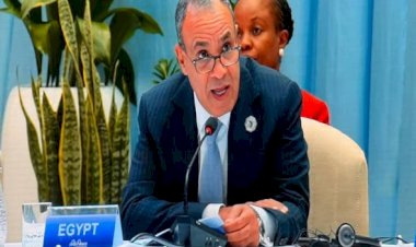 وزير الخارجية يستعرض رؤية مصر لتعزيز الشراكة الاستراتيجية وتحقيق التنمية المستدامة خلال قمة إيطاليا-أفريقيا الثانية