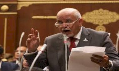 حازم الجندى: توجيه الرئيس بتبكير صرف المرتبات يؤكد حرص الدولة على تخفيف الأعباء