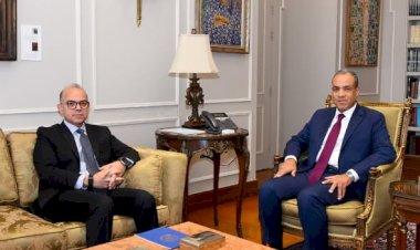 وزيرا الخارجية والاستثمار يبحثان تعزيز التنسيق المشترك لجذب الاستثمارات الخارجية وتحقيق التنمية الاقتصادية