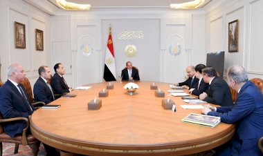 الرئيس السيسي يستقبل رئيس مجلس إدارة شركة GCL الصينية