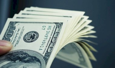 أسعار الدولار في مصر اليوم الجمعة