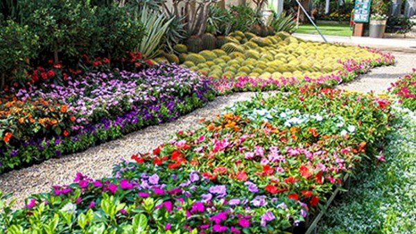 "الزراعة" تعلن فتح باب الحجز للمشاركة بمعرض زهور الربيع 2026