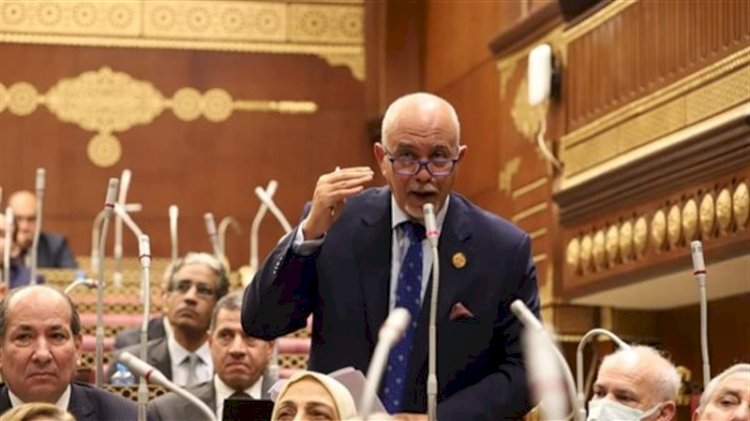 النائب حازم الجندى: قمة مصر وتركيا تدشين لمرحلة «التحالفات الاستراتيجية الواعية»