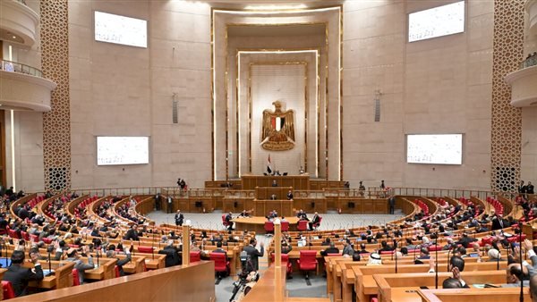 اتصالات النواب تختتم أولى جلسات الاستماع حول استخدام الأطفال لتطبيقات التواصل الاجتماعى