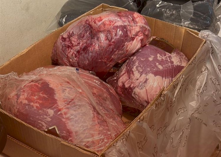 ضبط كميات من لحوم الأحصنة واللحوم الفاسدة والأسماك في بني سويف