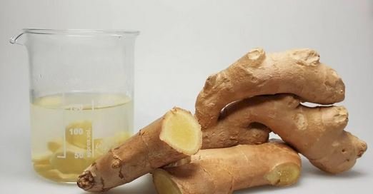 الزنجبيل وصحة القلب.. ماذا يحدث عند تناوله؟