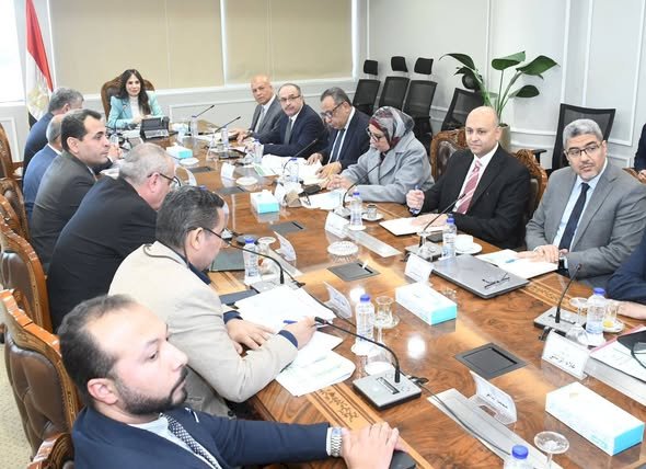 وزيرة الإسكان تتابع موقف تنفيذ المشروعات ضمن مبادرة "حياة كريمة " بعددٍ من المحافظات