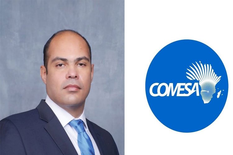 محمود ممتاز رئيسًا للجنة الفصل في المنازعات بمفوضية الكوميسا للمنافسة والمستهلك