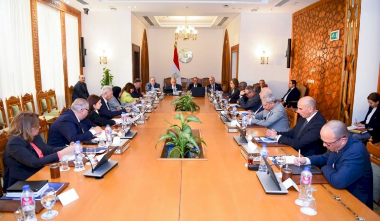 وزير الخارجية يفتتح الاجتماع الأول لمجلس أمناء الوكالة المصرية للشراكة من أجل التنمية