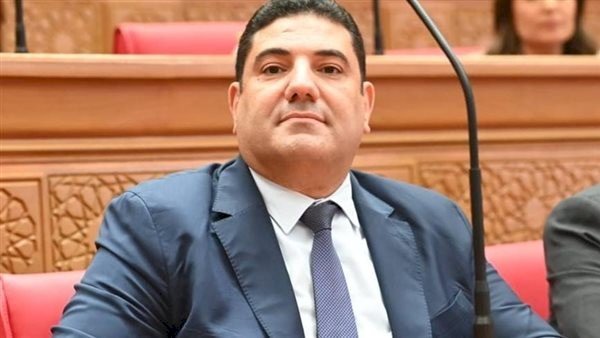 برلماني: قمة السيسي وبن سلمان خطوة استراتيجية مهمة نحو تعزيز التنسيق العربي المشترك ورفض التصعيد في المنطقة