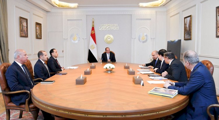 الرئيس السيسي يستقبل رئيس مجلس إدارة شركة GCL الصينية