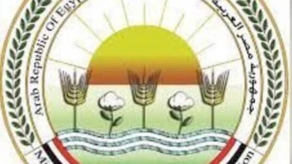 "الزراعة" تستعد للإشراف البيطري على جولة بطولة "لونجين" العالمية للفروسية التي تستضيفها مصر في أكتوبر المقبل