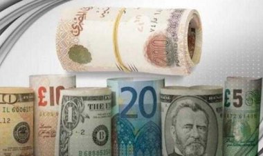 أسعار العملات في مصر اليوم الأحد