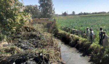 زراعة الأقصر تطلق مشروع مسقى "الريقية" لتحسين منظومة الرى