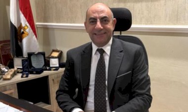 نائب بمجلس الشيوخ: مصر تعمل على منع التصعيد العسكرى فى المنطقة