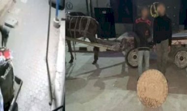 سرقوا غطاء صرف صحي بـ "كارو".. الأمن يضبط لصوص فيديو أسيوط المنتشر